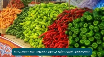 أسعار الأقصر.. تغييرات مثيرة في سوق الخضروات اليوم 1 سبتمبر 2025